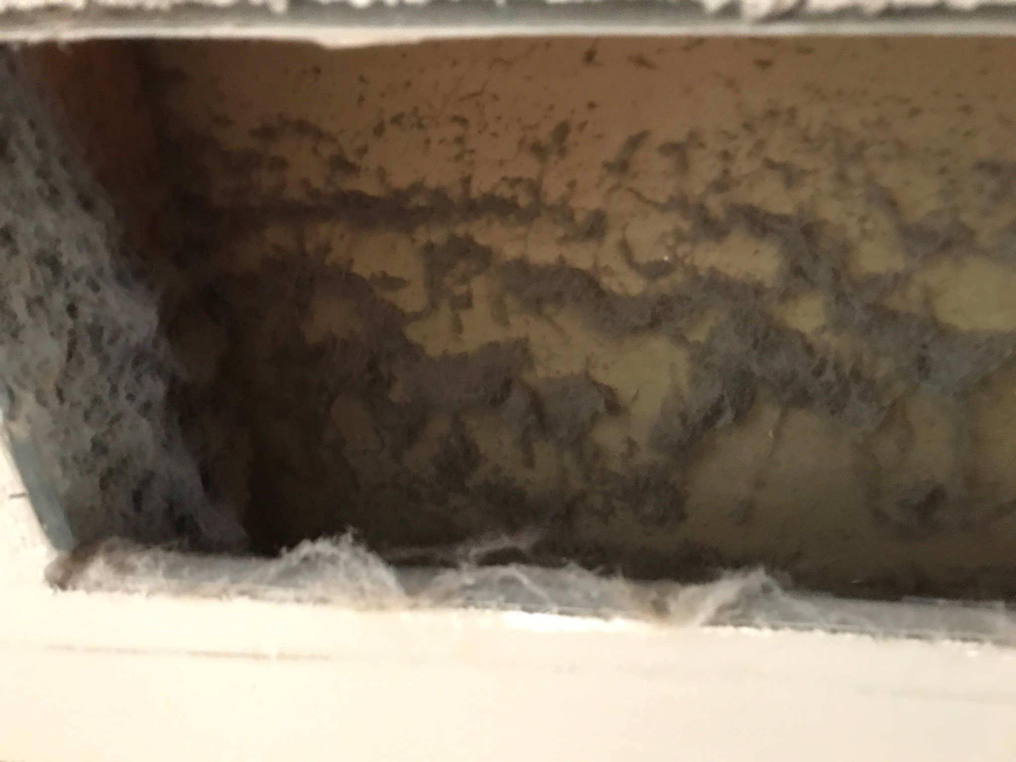 Air Duct Cleaning - Before